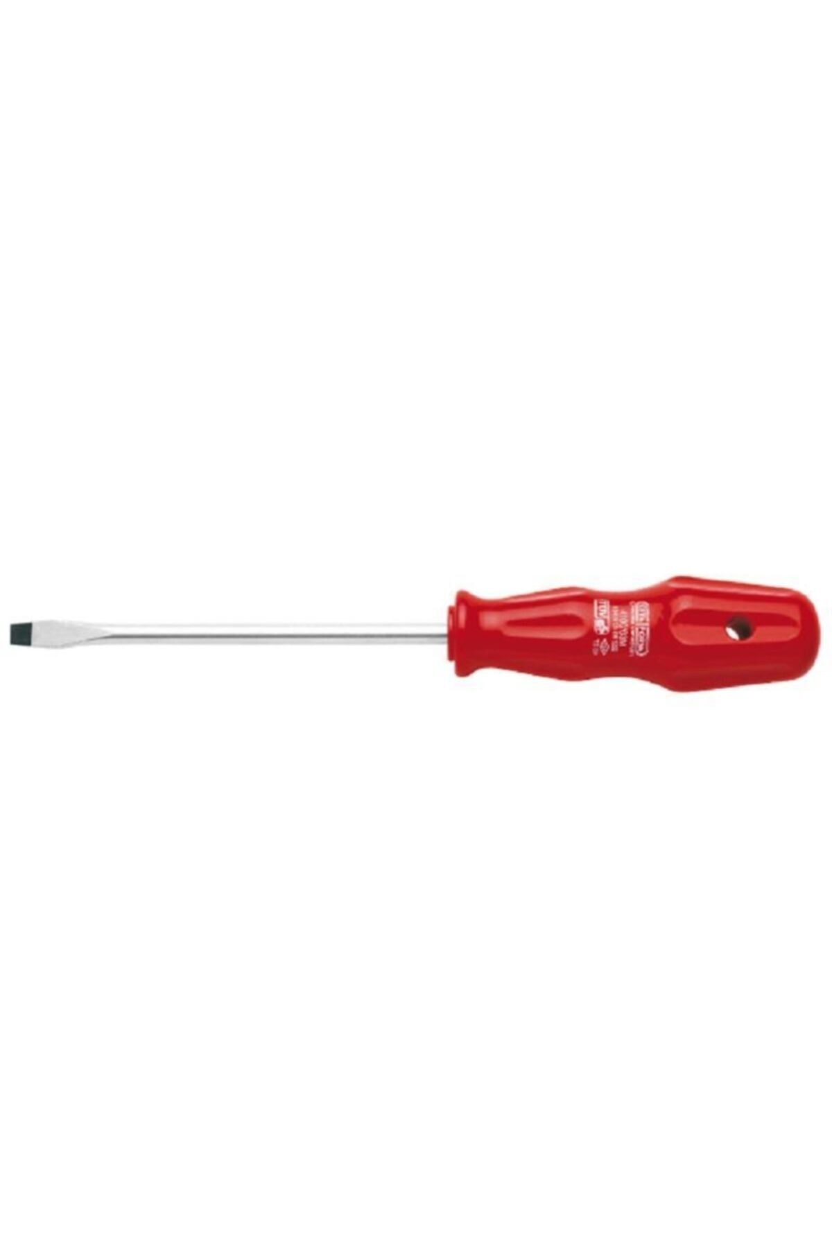 Ceta 4100/21m 2.5x75 Mm Torex Opak Düz Uçlu Tornavida